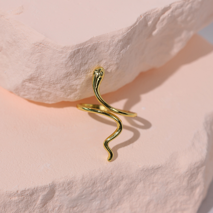 Anillo Renacer – Transformación y poder interior