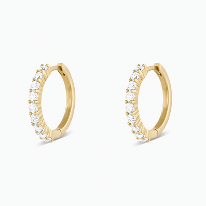 Aretes Lea
