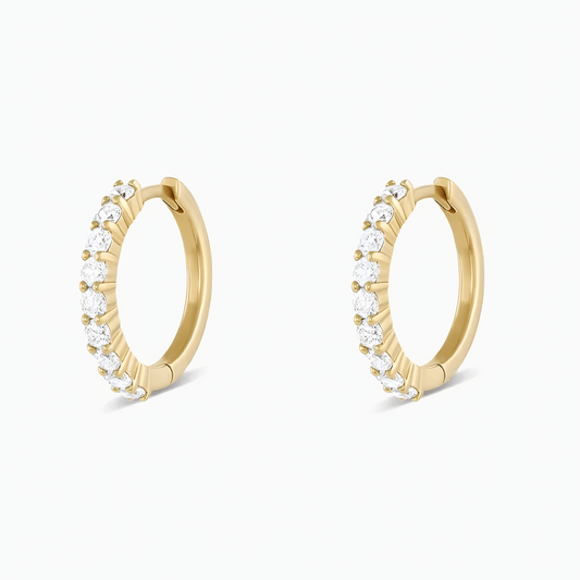 Aretes Lea